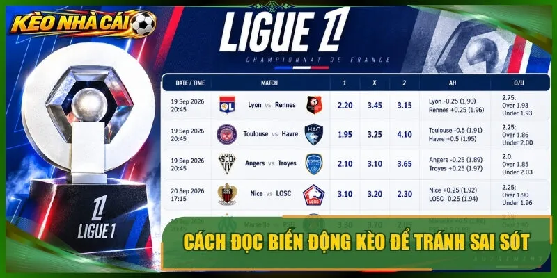 Cách đọc biến động kèo để tránh sai sót