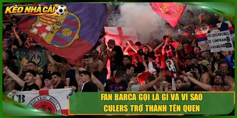 Fan Barca gọi là gì và vì sao Culers trở thành tên quen 