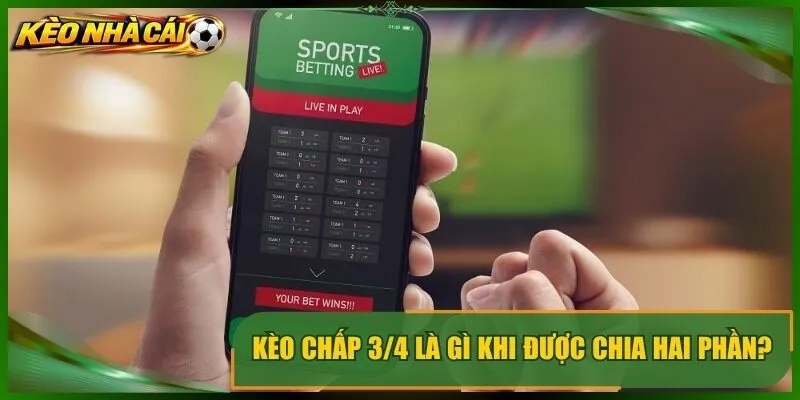 Kèo chấp 3/4 là gì khi được chia hai phần?