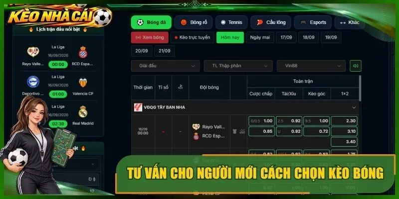 Tư vấn cho người mới cách chọn kèo bóng